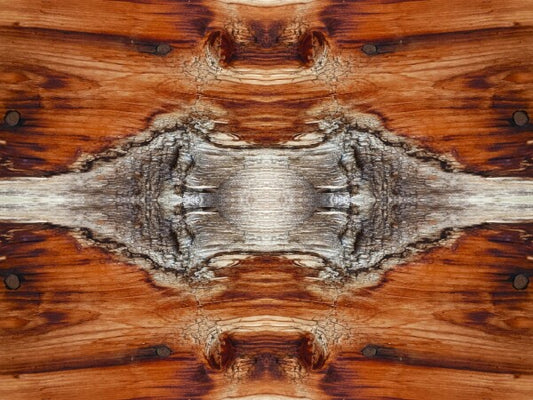 Tarry On # 1 - Celebrate your wandering spirit in an Acrylic Print of planked wood that has been there and done that!
