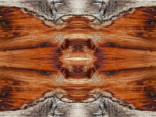 Tarry On # 2 - Celebrate your wandering spirit in an Acrylic Print of planked wood that has been there and done that!