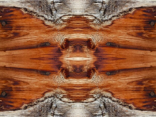 Tarry On # 2 - Celebrate your wandering spirit in an Acrylic Print of planked wood that has been there and done that!
