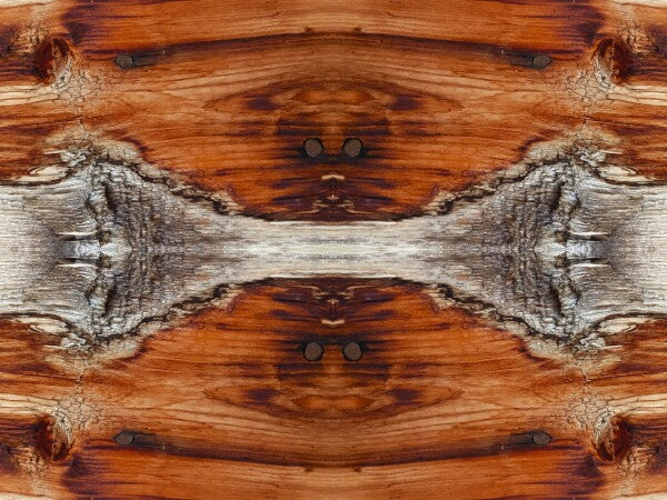 Tarry On # 3 - Celebrate your wandering spirit in an Acrylic Print of planked wood that has been there and done that!