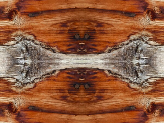 Tarry On # 3 - Celebrate your wandering spirit in an Acrylic Print of planked wood that has been there and done that!