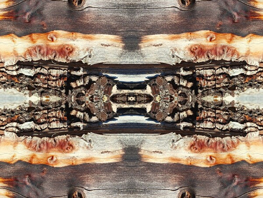 Bored Walk #1 - Chap your walls with tales from the trail with an Acrylic Print of Mirrored Natural wood.