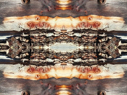 Bored Walk #2 - Chap your walls with tales from the trail with an Acrylic Print of Mirrored Natural wood.
