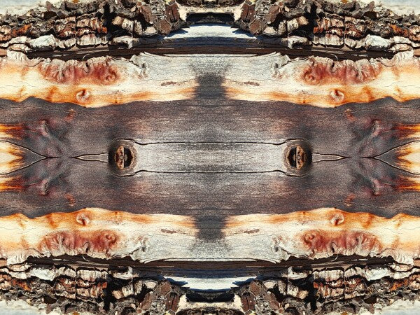 Bored Walk #3 - Chap your walls with tales from the trail with an Acrylic Print of Mirrored Natural wood.
