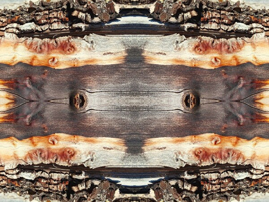 Bored Walk #3 - Chap your walls with tales from the trail with an Acrylic Print of Mirrored Natural wood.