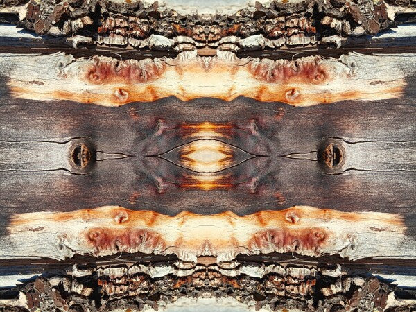 Bored Walk #4 - Chap your walls with tales from the trail with an Acrylic Print of Mirrored Natural wood.