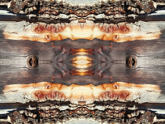 Bored Walk #4 - Chap your walls with tales from the trail with an Acrylic Print of Mirrored Natural wood.