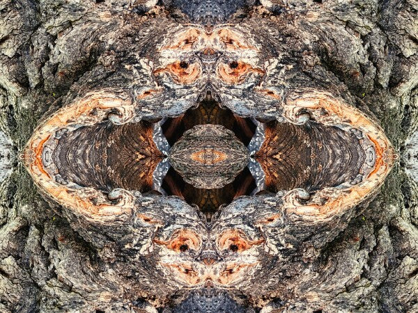 Look Out Below 1 - Bring a bit of mystery and old-world flair into your home with Acrylic Print of Mirrored Natural Wood