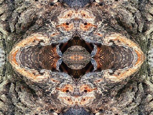 Look Out Below 1 - Bring a bit of mystery and old-world flair into your home with Acrylic Print of Mirrored Natural Wood