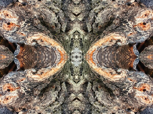 Look Out Below 2 - Bring a bit of mystery and old-world flair into your home with Acrylic Print of Mirrored Natural Wood