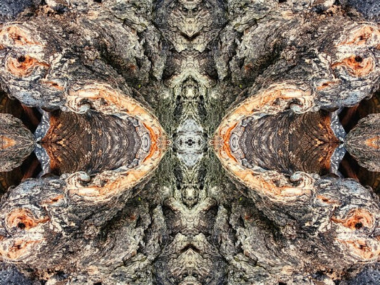 Look Out Below 2 - Bring a bit of mystery and old-world flair into your home with Acrylic Print of Mirrored Natural Wood