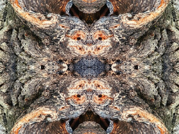 Look Out Below 3 - Bring a bit of mystery and old-world flair into your home with Acrylic Print of Mirrored Natural Wood