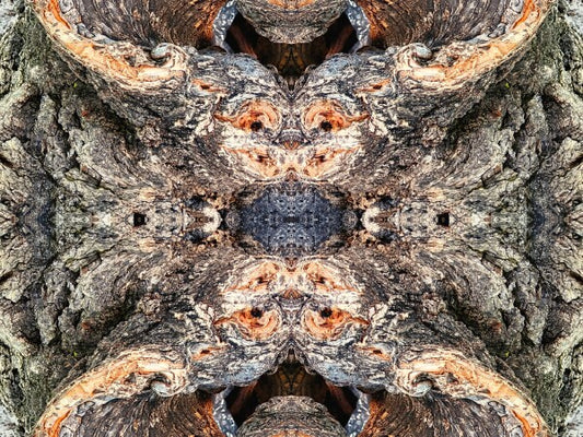 Look Out Below 3 - Bring a bit of mystery and old-world flair into your home with Acrylic Print of Mirrored Natural Wood