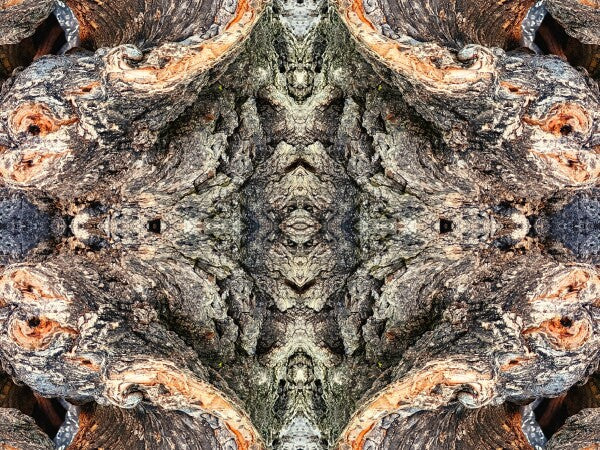 Look Out Below 4 - Bring a bit of mystery and old-world flair into your home with Acrylic Print of Mirrored Natural Wood