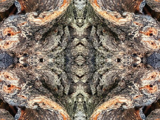 Look Out Below 4 - Bring a bit of mystery and old-world flair into your home with Acrylic Print of Mirrored Natural Wood