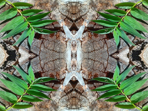 Betrothed 4 - Make a commitment to a natural expression of you! Acrylic Print of Mirrored Natural Wood