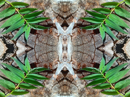 Betrothed 4 - Make a commitment to a natural expression of you! Acrylic Print of Mirrored Natural Wood
