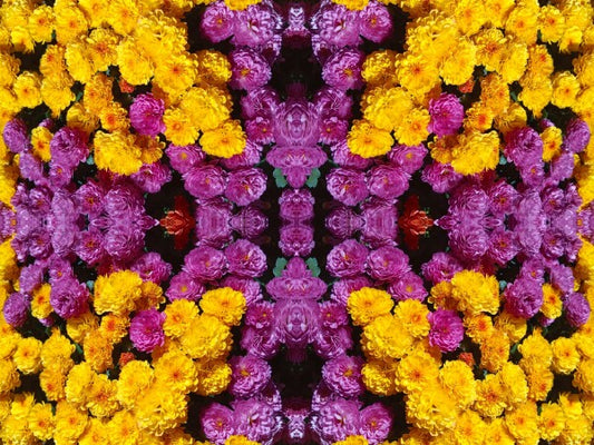 Guessed It! 3 - Nature wasn't slumming on this! Chrysanthemums galore! A vibrant acrylic Print of mirrored natural flowers.